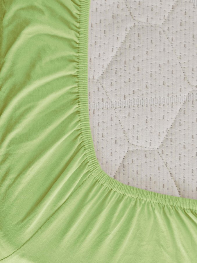 Plahta s gumicom Dalija Green 200x200+30cm