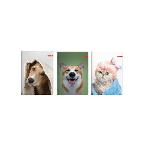 Bilježnica Ilijanum A4 70g 52L crte pets