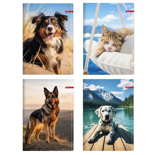 Bilježnica Ilijanum A4 70g 52L crte pets