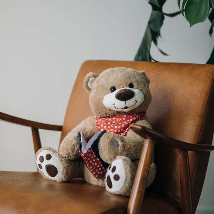 DIMIAN Medo pričalica 89512