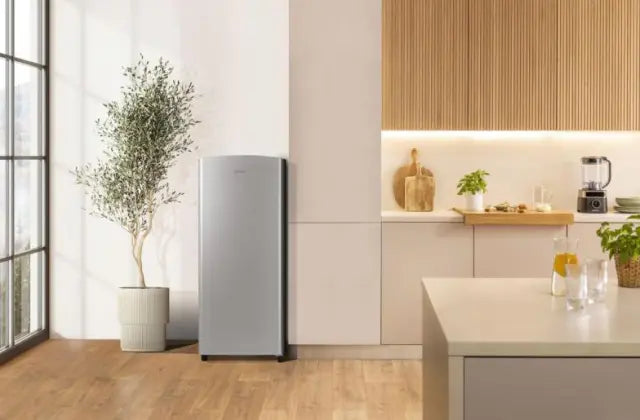 Hladnjak kombinirani GORENJE RB413EPS4